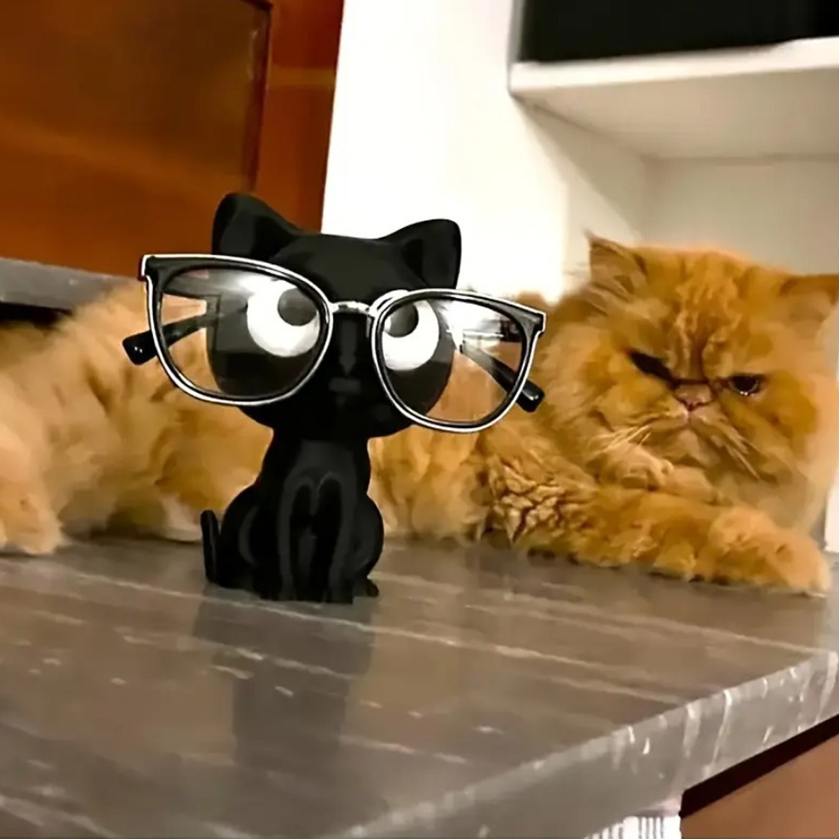 กรอบแว่นตาแมวพิมพ์ 3 มิติ สามา - 3D Printing Glasses Frames บทวิจารณ์และราคา